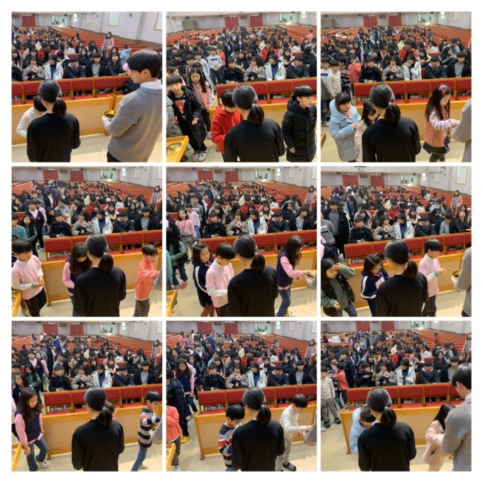 8C790932-E12F-44DF-8AA7-B468566BB2AC-COLLAGE.JPG